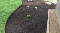 Bed Edging
