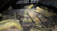 Insulation Removal