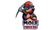 Mole Miners of Evansville