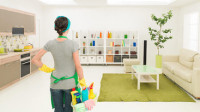 Apartment Cleaning