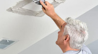 Plaster Repair