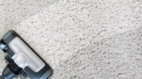 Carpet Cleaning