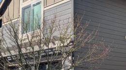 Roof Cleaning as a Responsibility