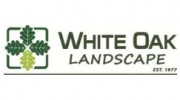 White Oak Landscape