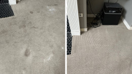 Before and After Carpet Cleaning Results