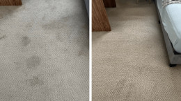 Before and After Carpet Cleaning Results