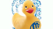 Maeser Master Services