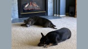 R R Gas Fireplace Service