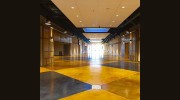 Specialty Coatings