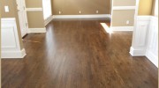 The Hardwood Giant Of Charlotte